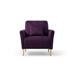 Fauteuil d'appoint en velours pour salon, lot de 2