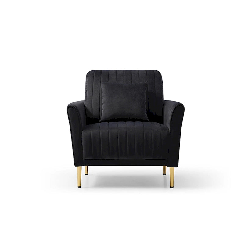 Fauteuil d'appoint en velours pour salon, lot de 2
