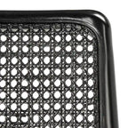 Chaise de salle à manger en rotin avec coussin (lot de 2) - 19 larg. x 17,5 long. x 32 haut.